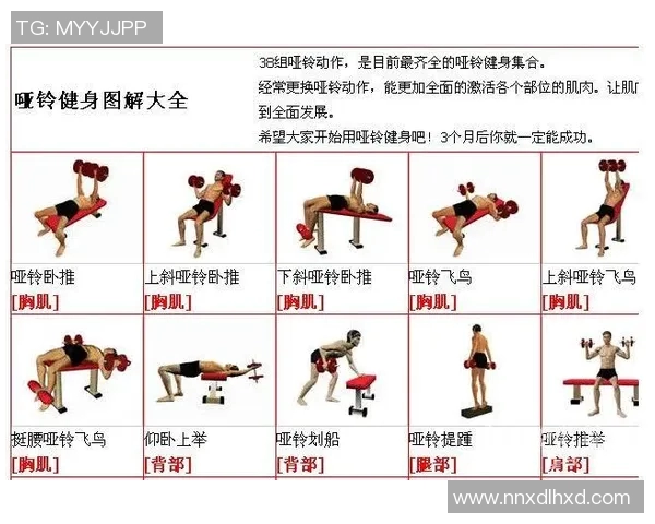 哑铃4磅换算成斤的具体数值及其在健身中的应用分析